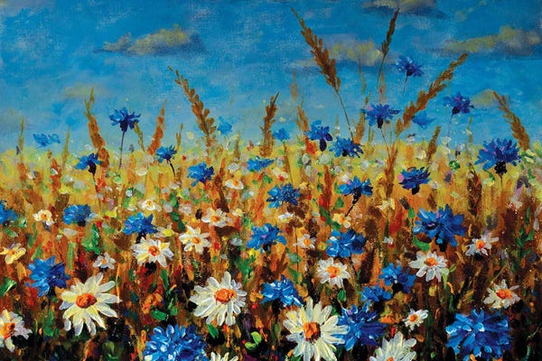 Cornflowers: Beautiful Blooming Field Art by Valery Rybakow