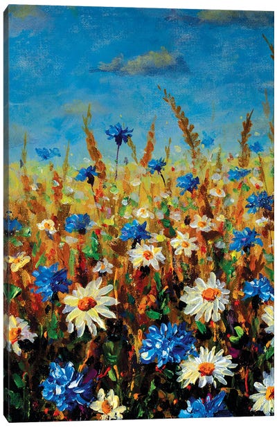 Beautiful Blooming Flowers Field Fine Art Canvas Art Print - Daisy Art