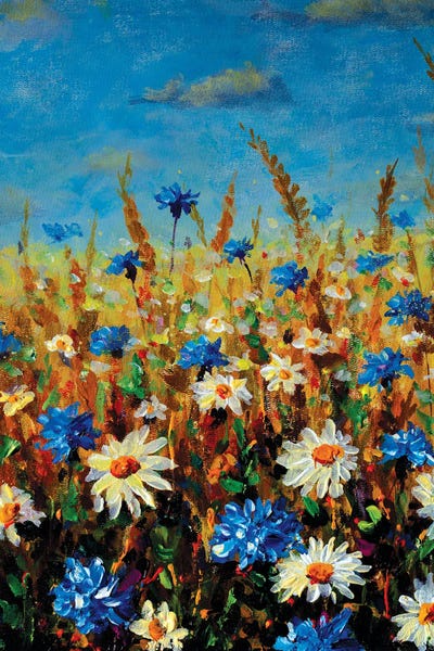 Landscapes In Bloom: Beautiful Blooming Flowers Field Fine Art by Valery Rybakow
