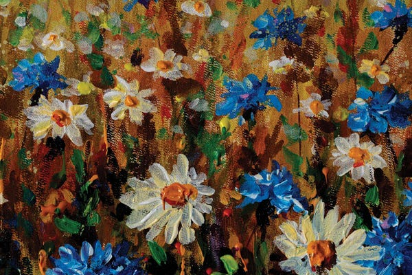 Cornflowers: Blooming Flowers Field Fine Art by Valery Rybakow