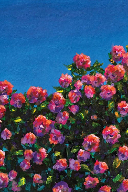 Beautiful Bush Of Pink Roses Flower Garden by Valery Rybakow wall art