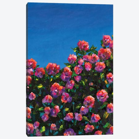 Beautiful Bush Of Pink Roses Flower Garden Canvas Print #VRY737} by Valery Rybakow Canvas Art Print