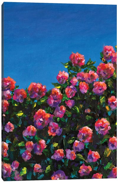 Beautiful Bush Of Pink Roses Flower Garden Canvas Art Print - Valery Rybakow