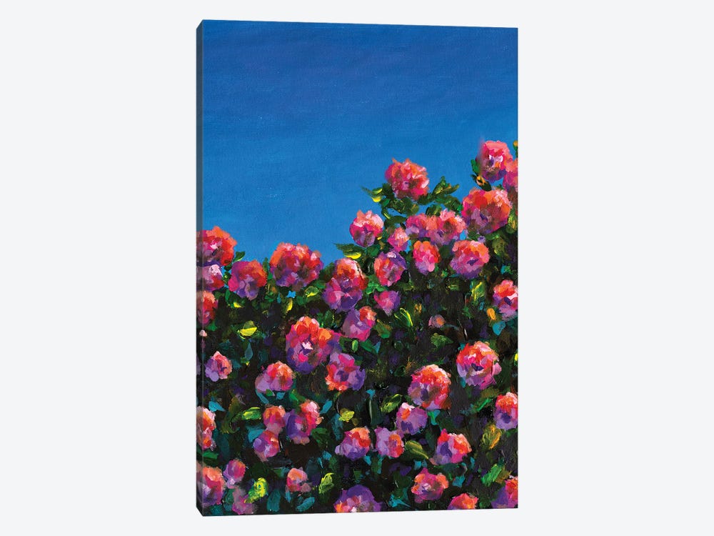 Beautiful Bush Of Pink Roses Flower Garden by Valery Rybakow 1-piece Canvas Print