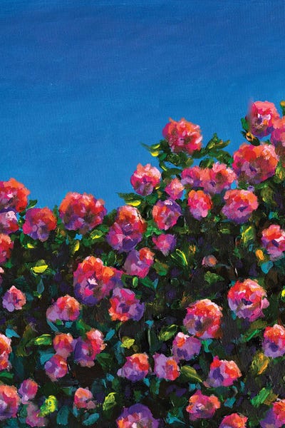 Valery Rybakow: Beautiful Bush Of Pink Roses Flower Garden by Valery Rybakow