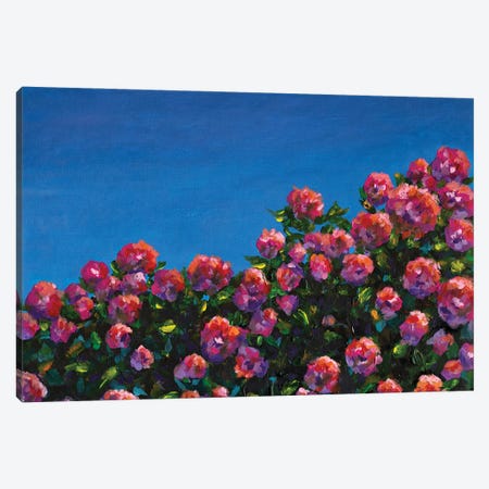 Bush Of Pink Roses Canvas Print #VRY738} by Valery Rybakow Canvas Wall Art