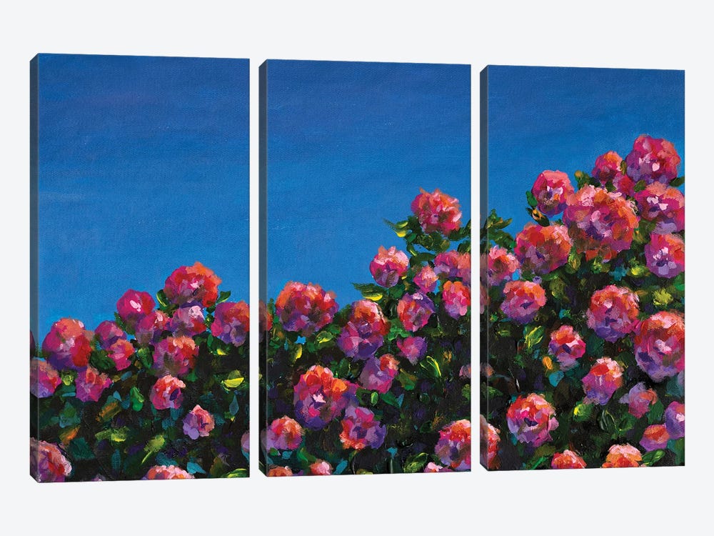 Bush Of Pink Roses by Valery Rybakow 3-piece Canvas Artwork