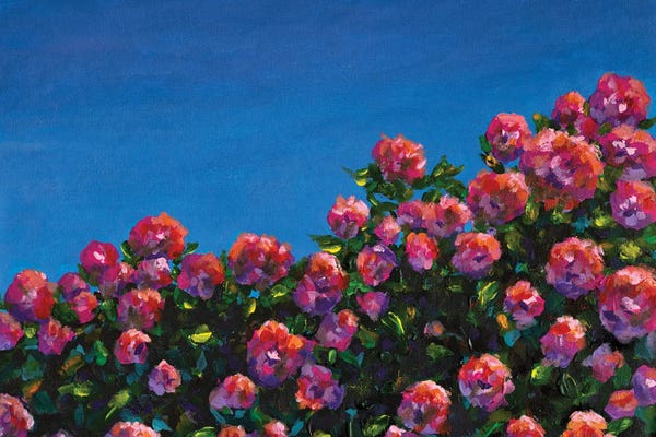 Valery Rybakow: Bush Of Pink Roses by Valery Rybakow