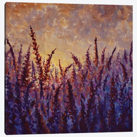 Beautiful Field Purple Flowers Lavender Lupine At Sunrise Sunset Canvas Print #VRY741} by Valery Rybakow Art Print