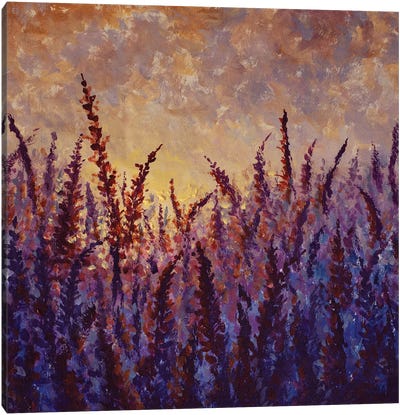 Beautiful Field Purple Flowers Lavender Lupine At Sunrise Sunset Canvas Art Print - Herb Art