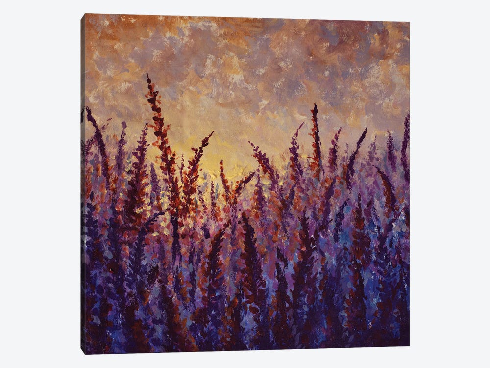 Beautiful Field Purple Flowers Lavender Lupine At Sunrise Sunset by Valery Rybakow 1-piece Canvas Art