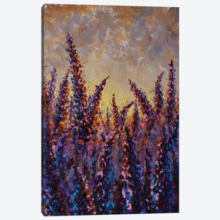 Purple Lavender Flower Field Canvas Print #VRY742} by Valery Rybakow Art Print