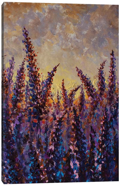 Purple Lavender Flower Field Canvas Art Print - Lavender Art