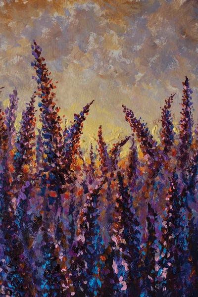 Herbs: Purple Lavender Flower Field by Valery Rybakow