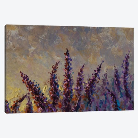 Purple Lupines At Sunset Canvas Print #VRY743} by Valery Rybakow Canvas Art Print