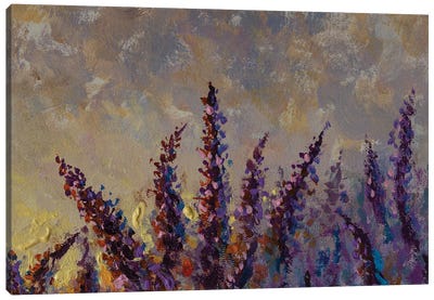 Purple Lupines At Sunset Canvas Art Print - Lavender Art