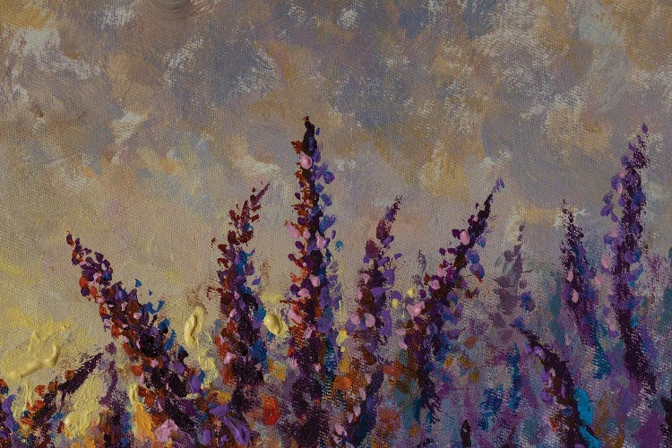 Purple Lupines At Sunset