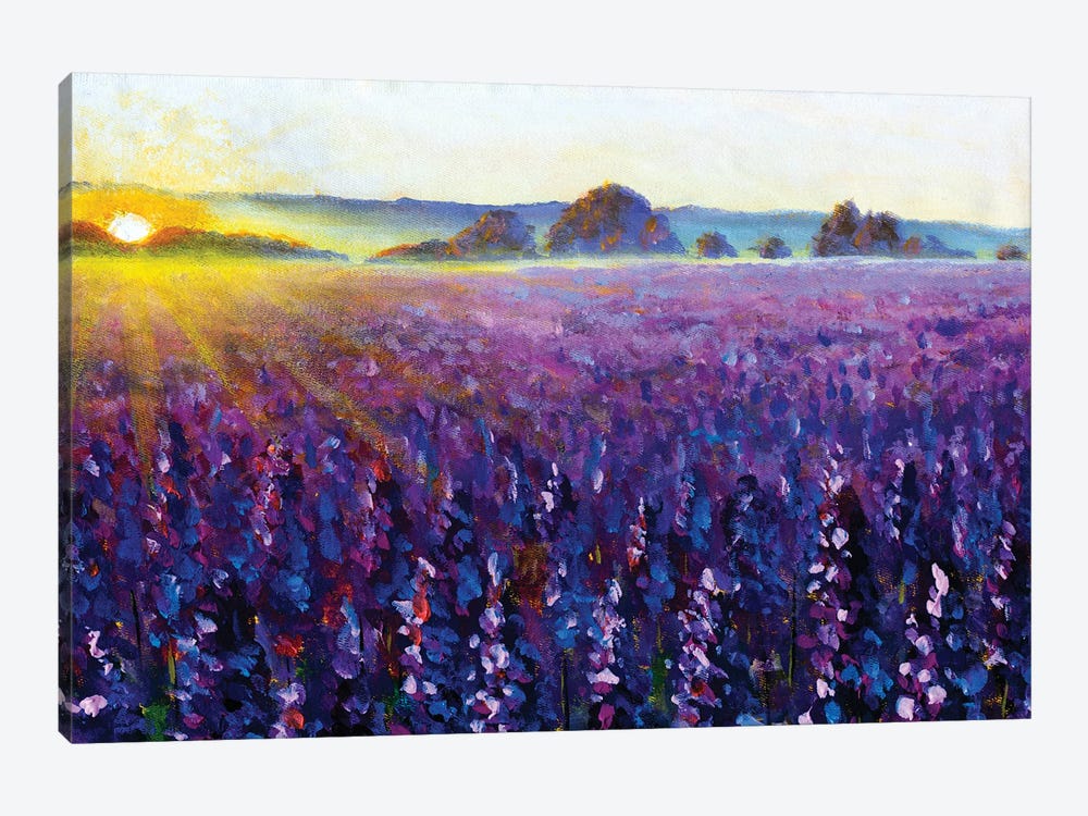Purple Lavender At Sunrise by Valery Rybakow 1-piece Canvas Art Print