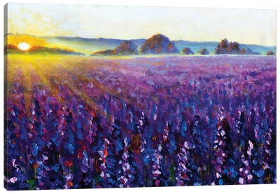 Purple Lavender At Sunrise Canvas Art Print - Lavender Art