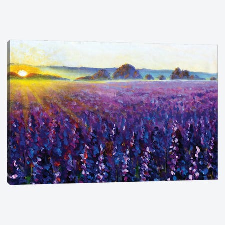 Purple Lavender At Sunrise Canvas Print #VRY744} by Valery Rybakow Canvas Artwork