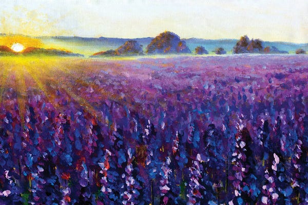 Lupines: Purple Lavender At Sunrise by Valery Rybakow