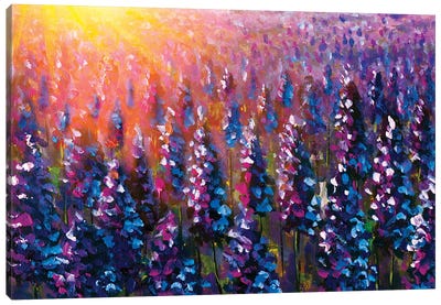 Purple Lavender At Sunset II Canvas Art Print - Herb Art