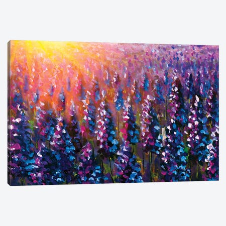 Purple Lavender At Sunset II Canvas Print #VRY745} by Valery Rybakow Canvas Art