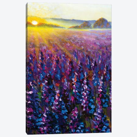 Purple Lavender At Sunrise II Canvas Print #VRY746} by Valery Rybakow Canvas Wall Art