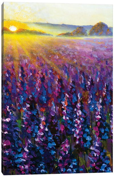 Purple Lavender At Sunrise II Canvas Art Print - Lupines
