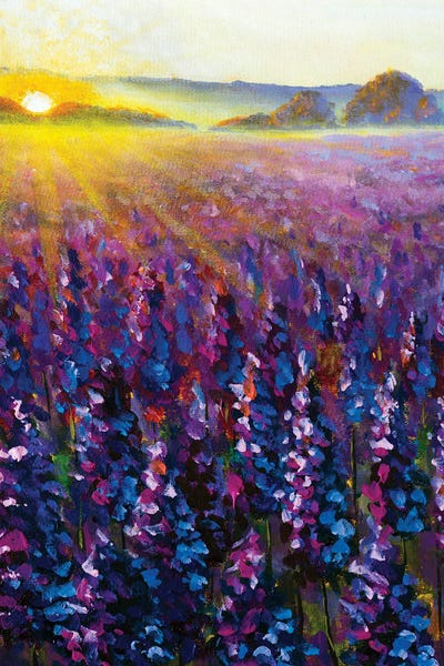 Lupines: Purple Lavender At Sunrise II by Valery Rybakow