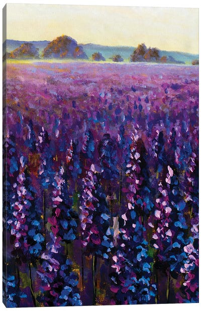 Beautiful Field Purple Flowers Canvas Art Print - Lavender Art