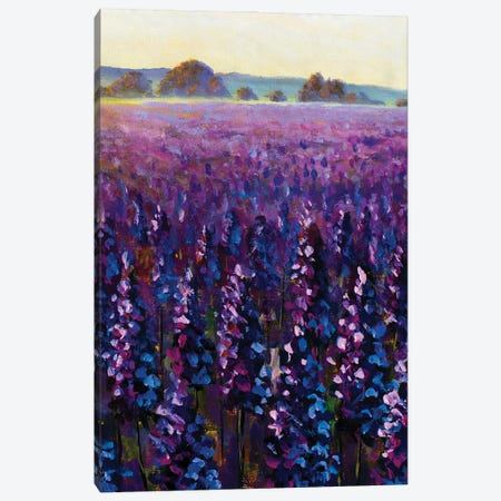 Beautiful Field Purple Flowers Canvas Print #VRY747} by Valery Rybakow Canvas Artwork