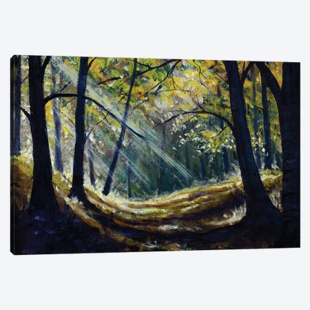 Sun In Forest With A Tree Canvas Print #VRY749} by Valery Rybakow Art Print