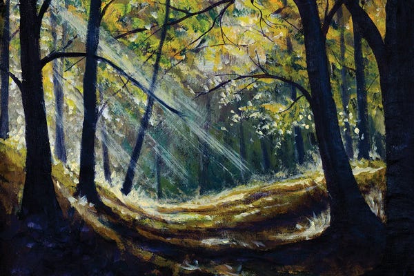 Sun In Forest With A Tree Landscape