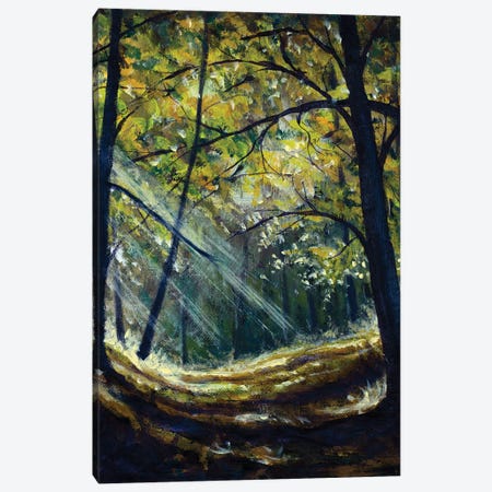 Sun In Forest With A Tree Canvas Print #VRY750} by Valery Rybakow Canvas Artwork