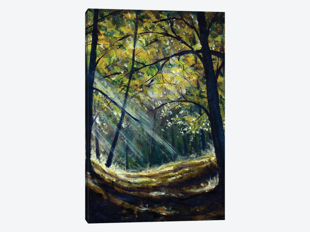 Sun In Forest With A Tree by Valery Rybakow 1-piece Canvas Art