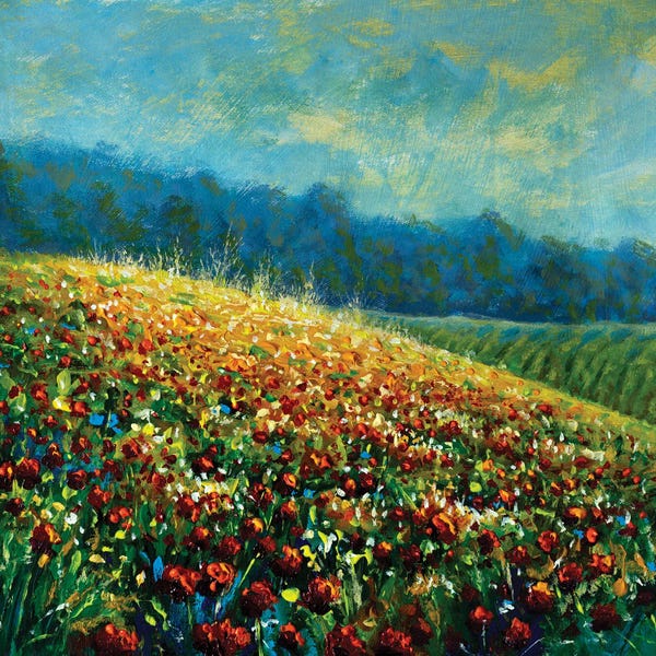 Valery Rybakow: Hillside Red Poppies by Valery Rybakow