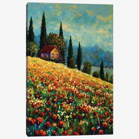 Old Beautiful House On Sunny Flower Mountain Canvas Print #VRY757} by Valery Rybakow Canvas Print