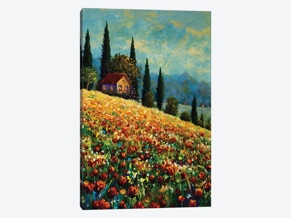Old Beautiful House On Sunny Flower Mountain by Valery Rybakow 1-piece Canvas Art Print