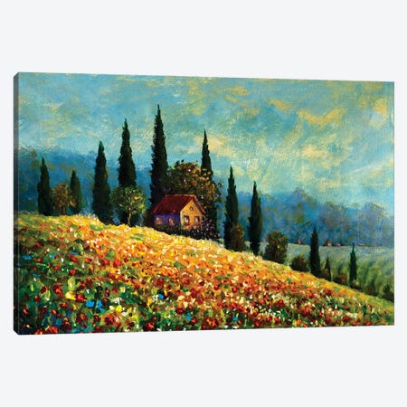 Old Rural House In A Field Canvas Print #VRY758} by Valery Rybakow Canvas Art