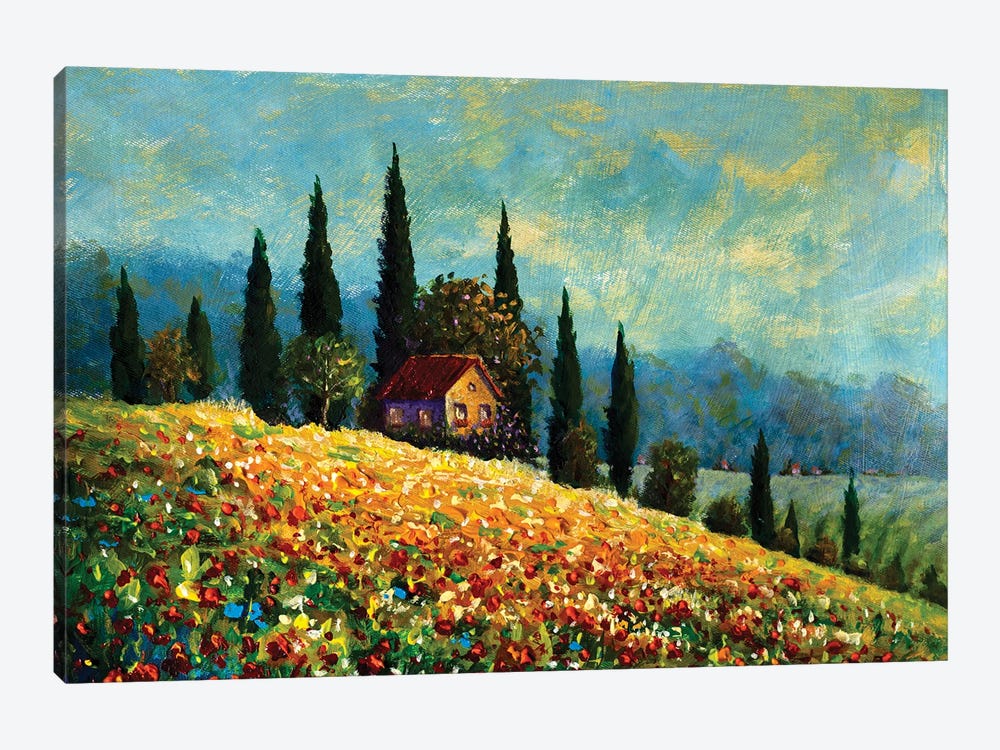 Old Rural House In A Field by Valery Rybakow 1-piece Canvas Wall Art