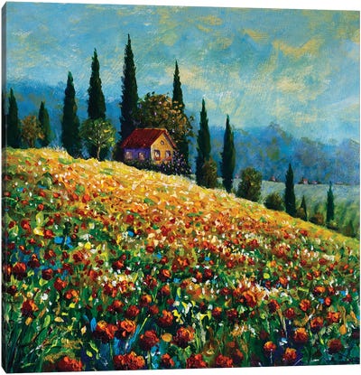 Old Beautiful House On A Sunny Flower Mountain Canvas Art Print - Valery Rybakow