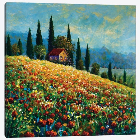 Old Beautiful House On A Sunny Flower Mountain Canvas Print #VRY759} by Valery Rybakow Canvas Art