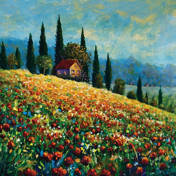 Poppies: Old Beautiful House On A Sunny Flower Mountain by Valery Rybakow