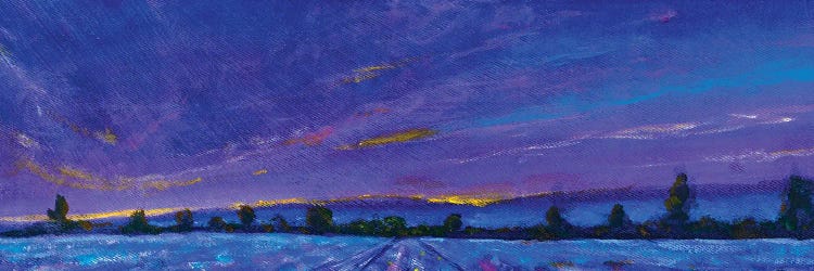 Panorama Banner Blue Violet Sunset Dawn Over Lavender Field