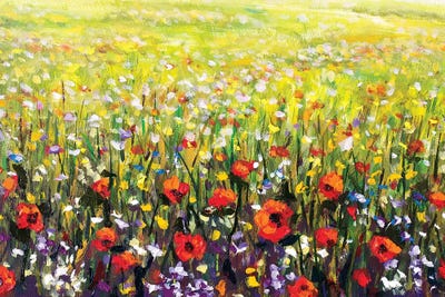 Red Poppies Flowers Field Canvas Art Print By Valery Rybakow ICanvas   VRY77