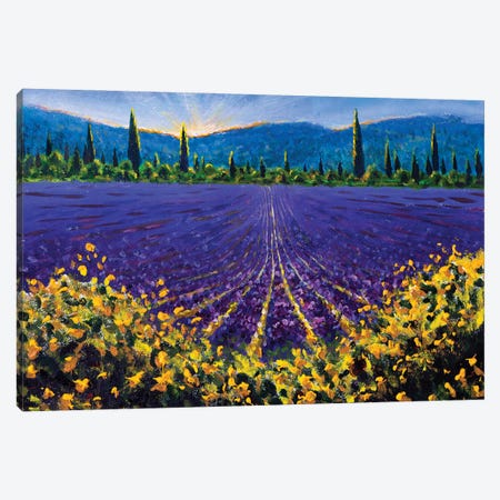 Sunny Lavender Fields In Sault Village In Vaucluse Provence France Canvas Print #VRY771} by Valery Rybakow Canvas Artwork