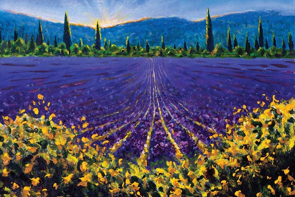 Herbs: Sunny Lavender Fields In Sault Village In Vaucluse Provence France by Valery Rybakow