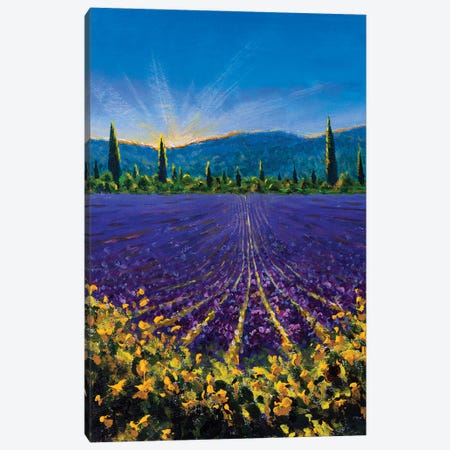 Sault Village In Vaucluse Lavender Flower Field Provence France Canvas Print #VRY772} by Valery Rybakow Canvas Wall Art