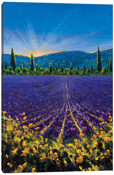Sault Village In Vaucluse Lavender Flower Field Provence France Canvas Art Print - Herb Art